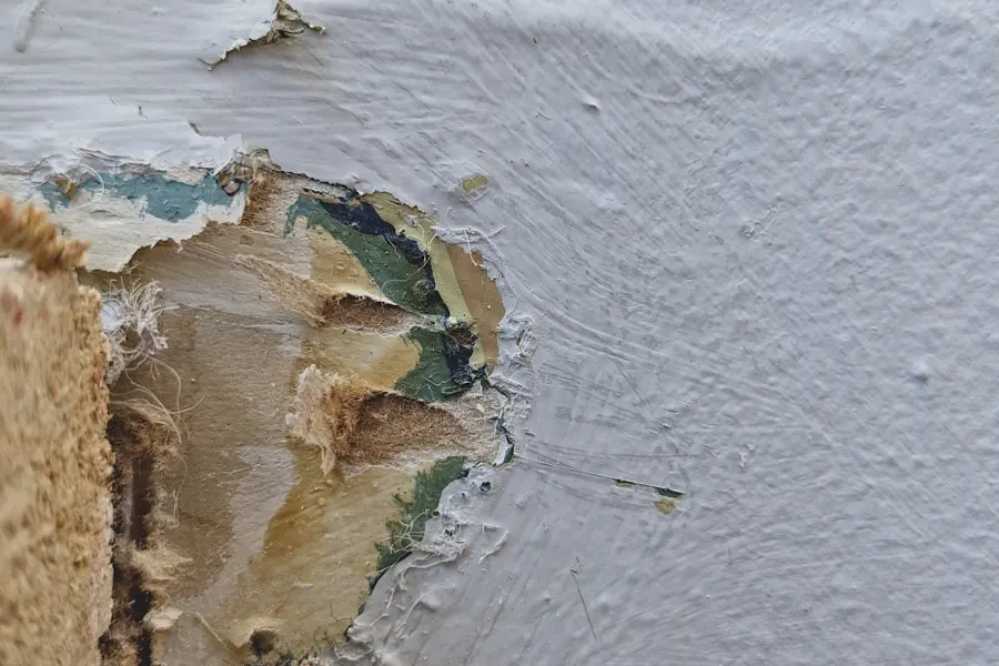 Paint blistered and peeling where water got into the wall